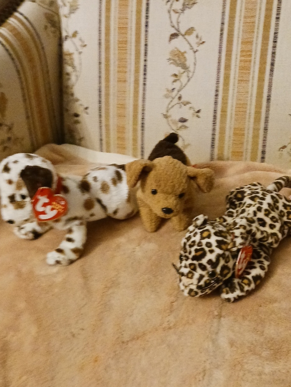 Ty Plush Dog Trio - Brown, White with Brown Spots, Leopard Print